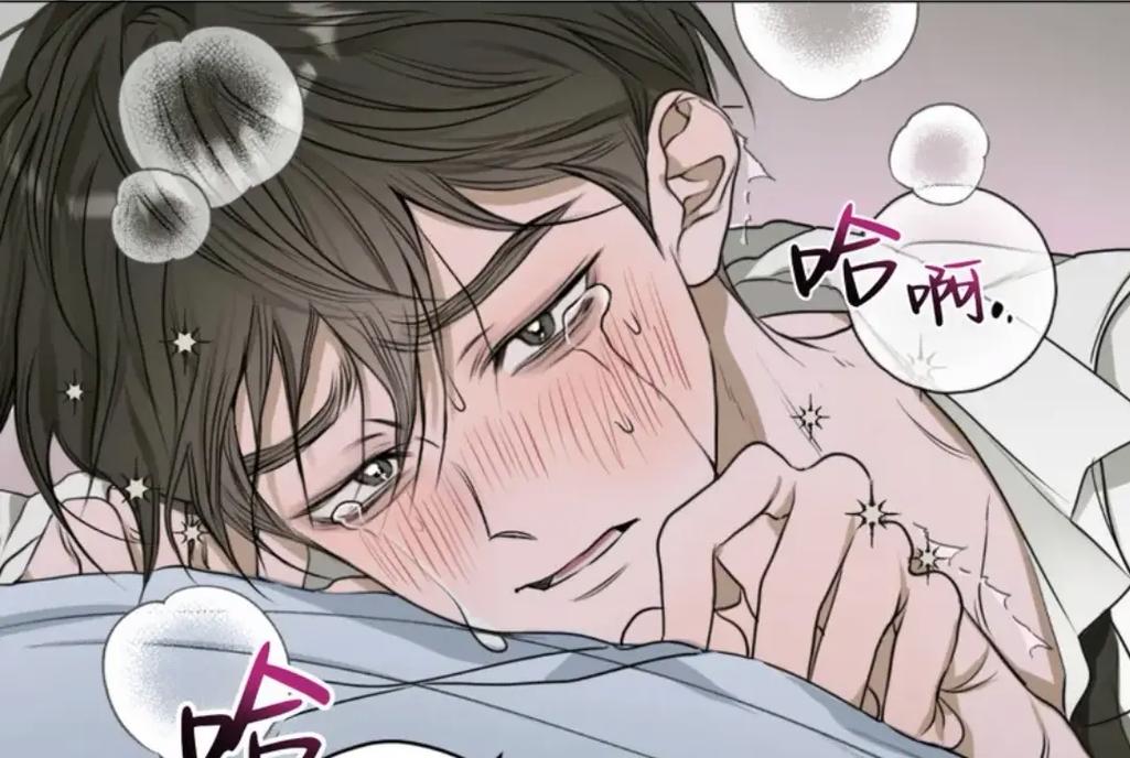 最新电视剧